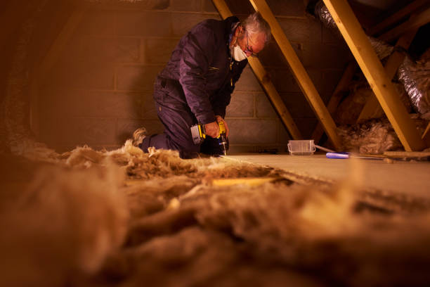 Best Cellulose Insulation in Northumberland, PA